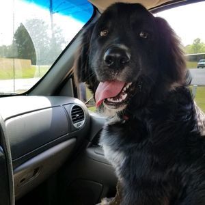 Meet your Posher, Brenda